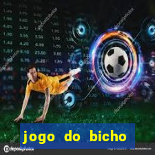 jogo do bicho estrela da sorte